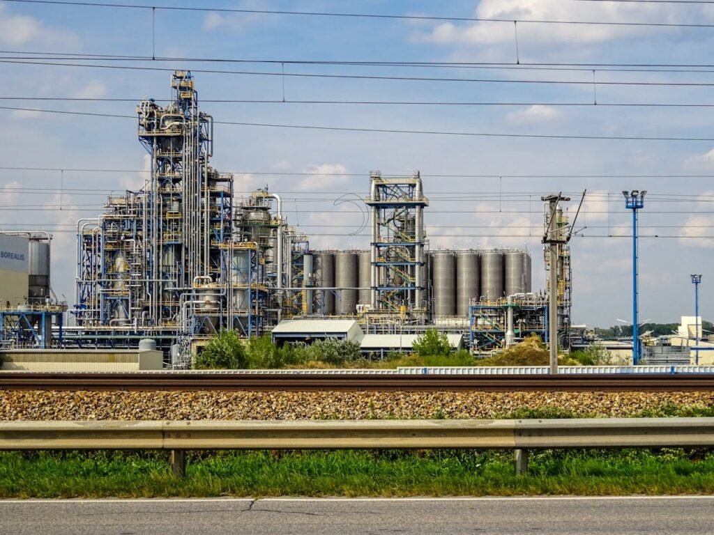 pexels photo 10666081.jpeg